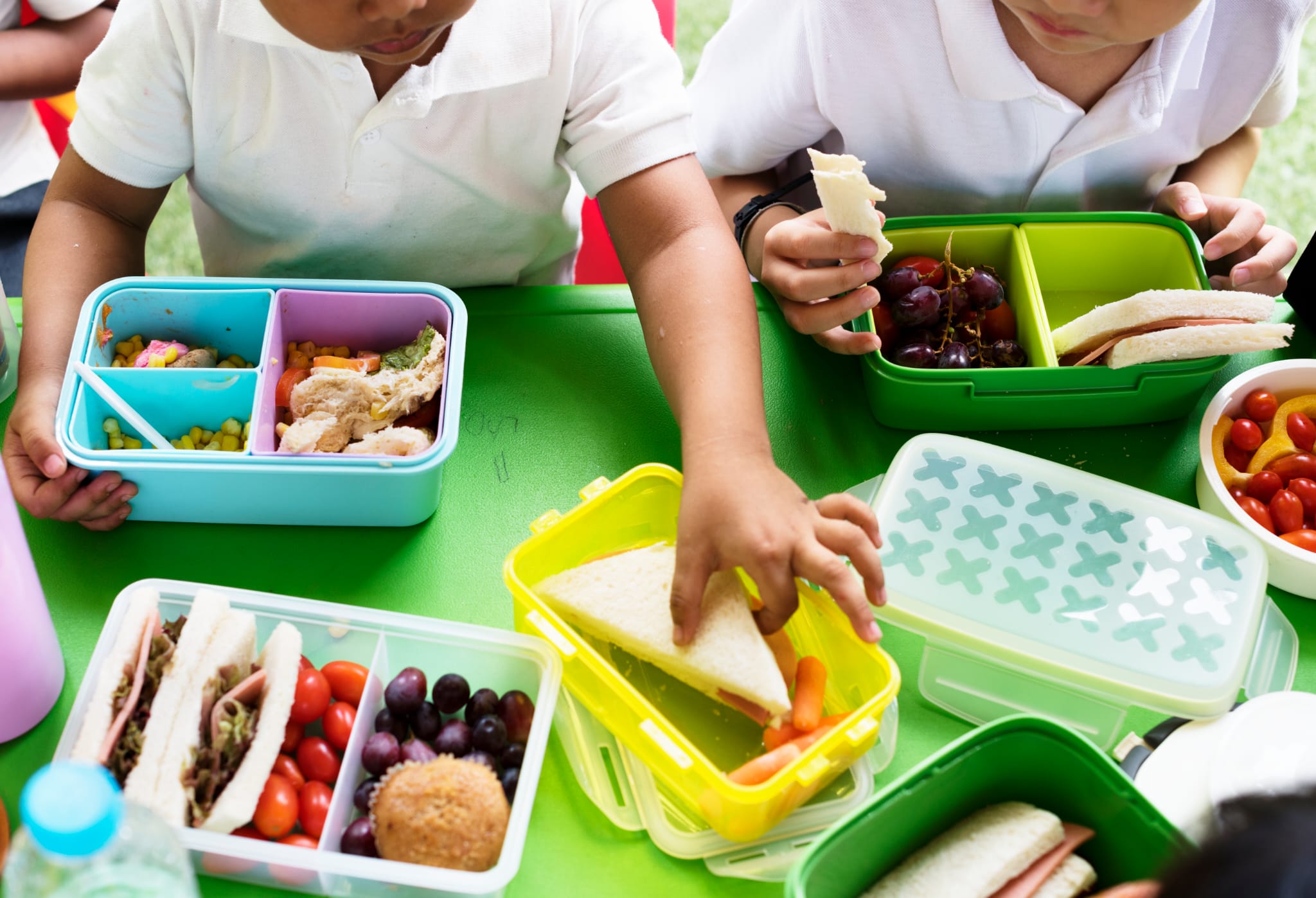 Dal  26 agosto sul portale del sito del Comune di Vasto sono aperte le iscrizioni alla mensa scolastica 