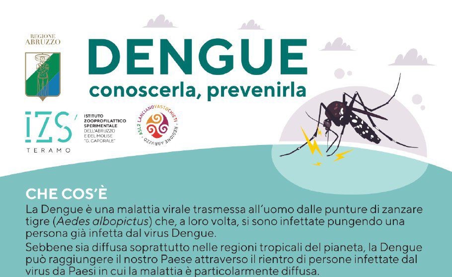 Virus Dengue, come prevenirlo